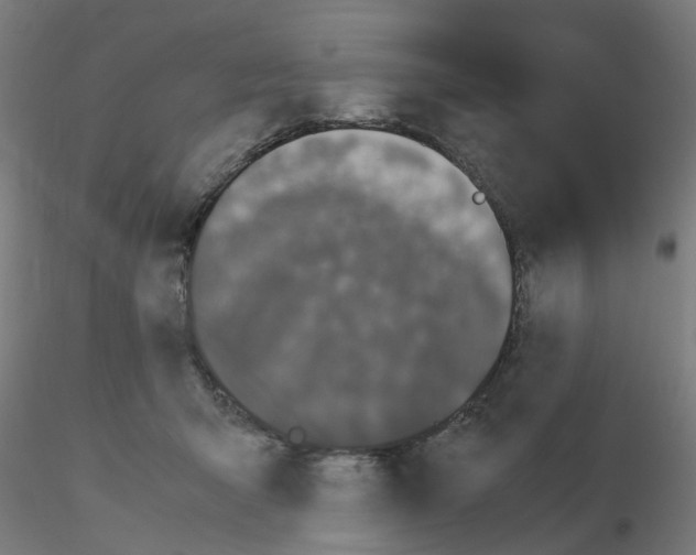 X0000115620415200912221232