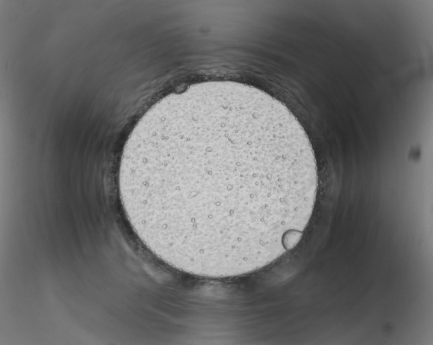 X0000115620416200912221232
