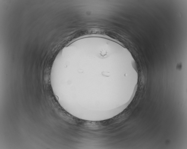 X0000115620417200912221232