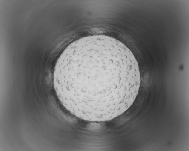 X0000115620418200912221232