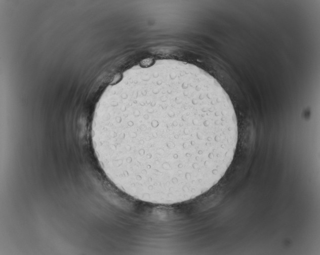 X0000115620420200912221232