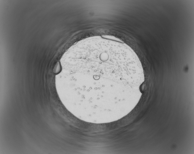 X0000115620421200912221232