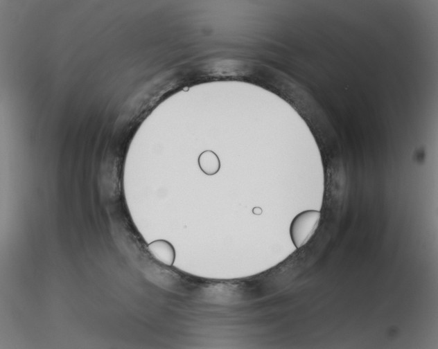X0000115620422200912221232