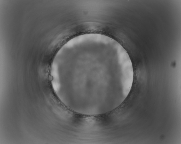X0000115620423200912221232