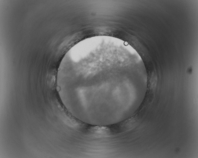 X0000115620427200912221232