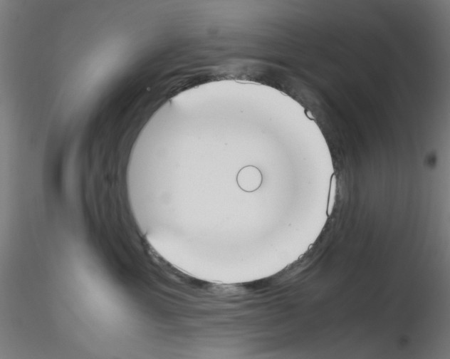 X0000115620429200912221232