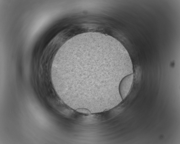 X0000115620430200912221232