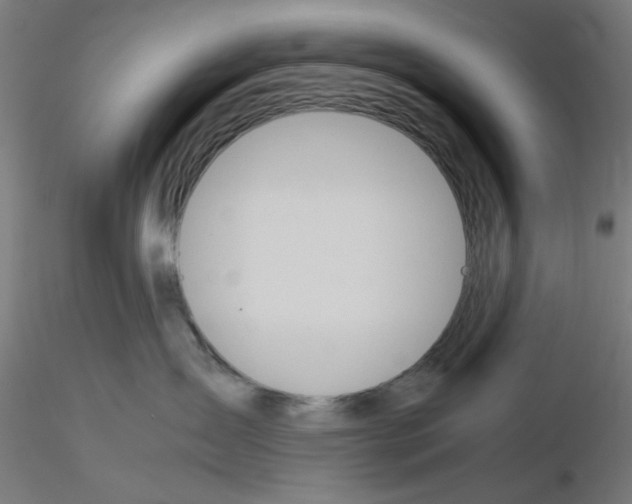 X0000115620431200912221232