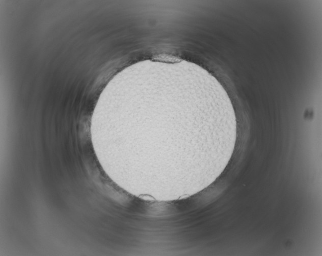 X0000115620432200912221232