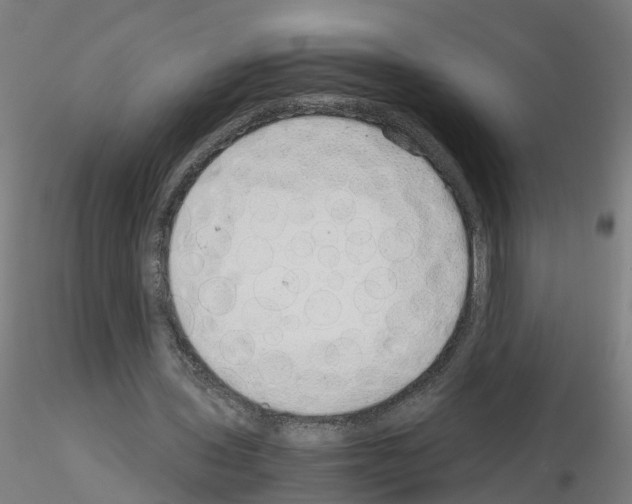 X0000115620435200912221231