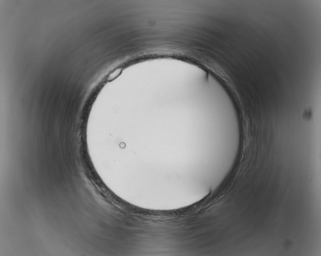 X0000115620436200912221231
