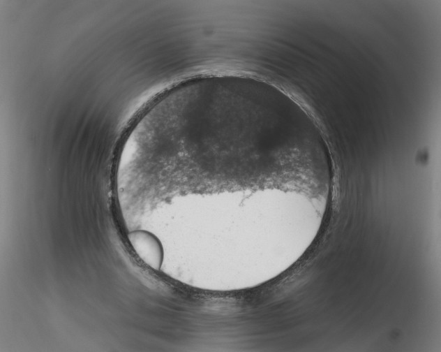 X0000115620438200912221231