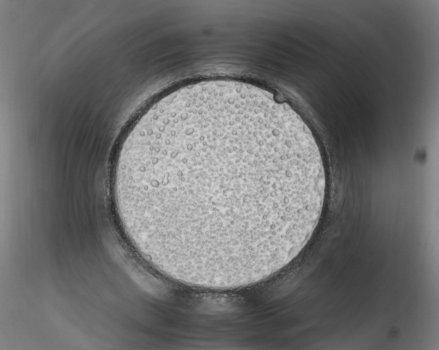 X0000115620439200912221231