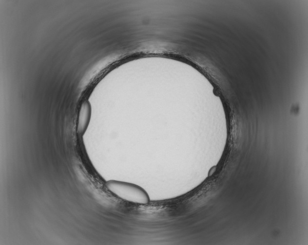 X0000115620440200912221231