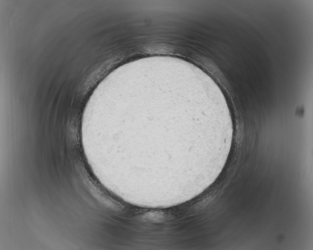 X0000115620441200912221231