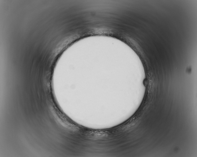 X0000115620443200912221231