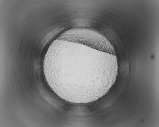 X0000115620444200912221231