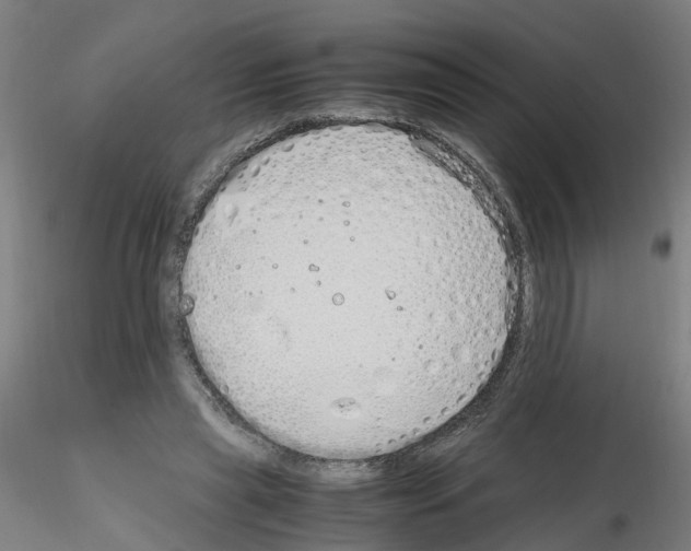 X0000115620445200912221231