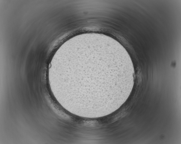 X0000115620446200912221231