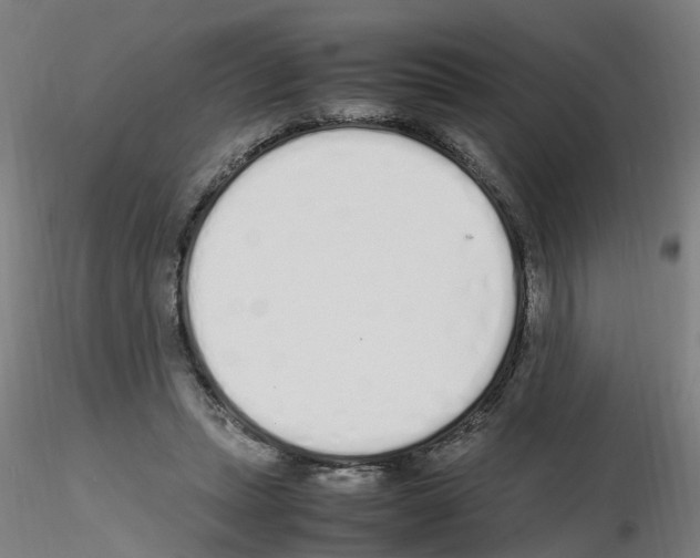 X0000115620447200912221231