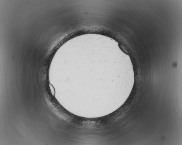 X0000115620448200912221231