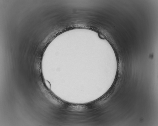 X0000115620449200912221231