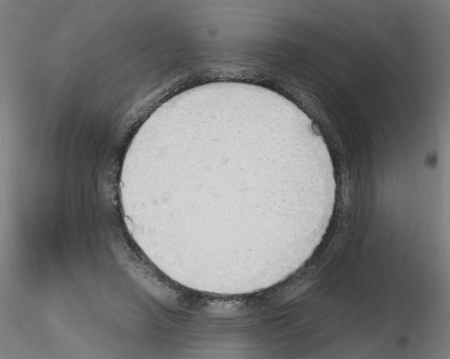 X0000115620450200912221231