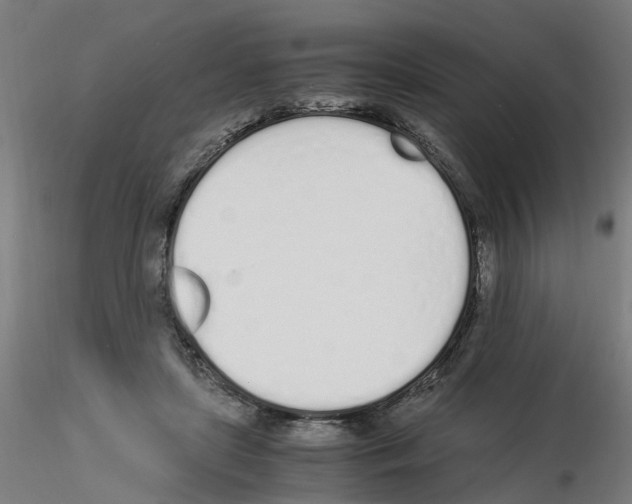 X0000115620451200912221231