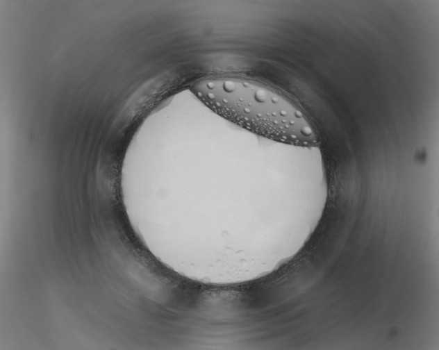 X0000115620452200912221231