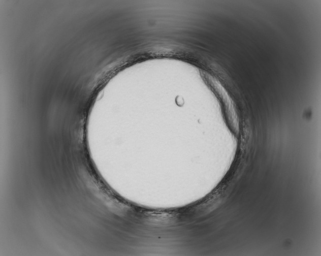 X0000115620454200912221231