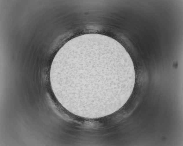 X0000115620455200912221232