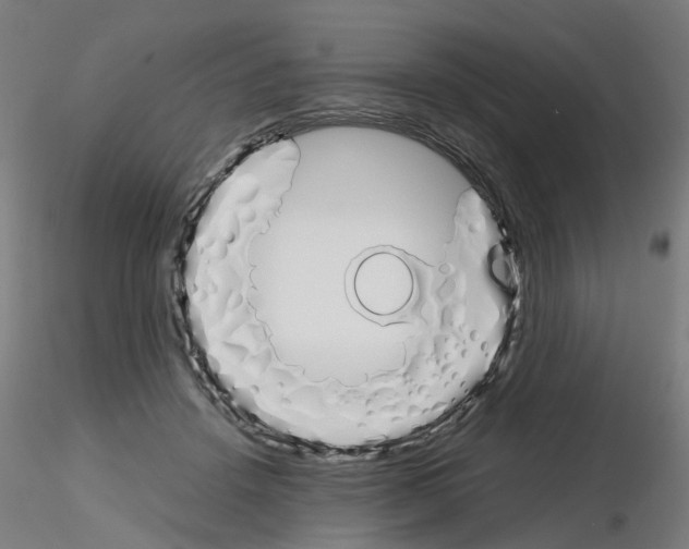 X0000115620456200912221232