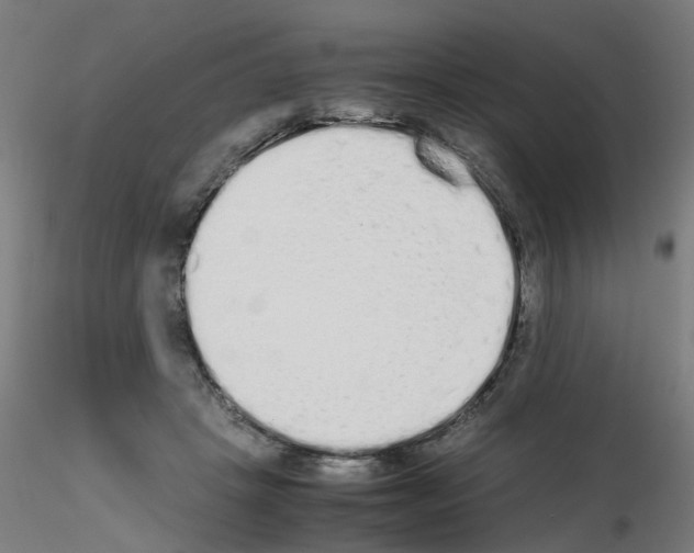 X0000115620457200912221232