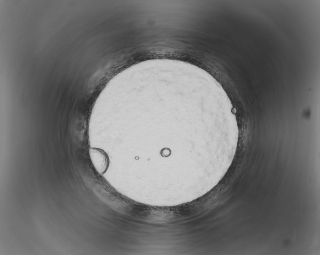 X0000115620458200912221232