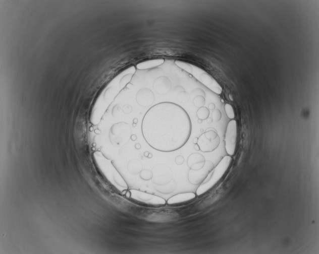 X0000115620459200912221232