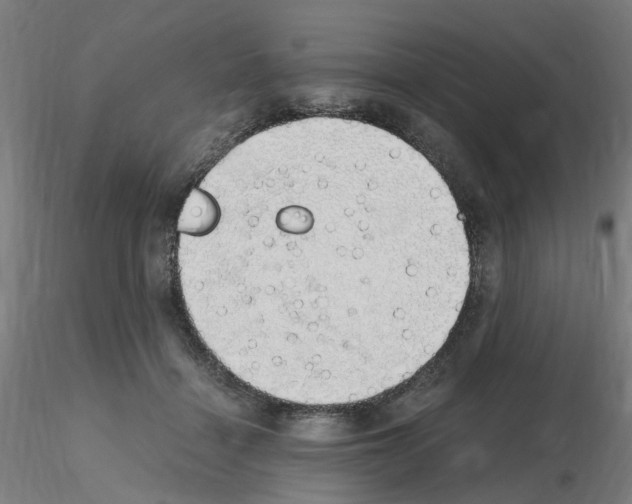 X0000115620460200912221232