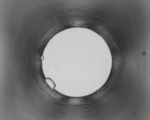 X0000115620461200912221232