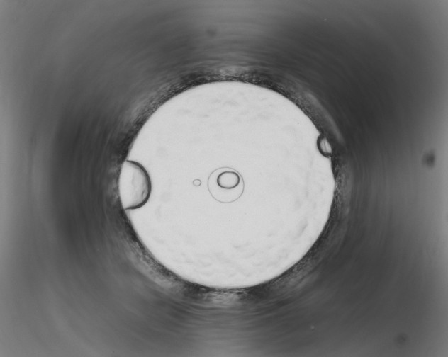 X0000115620462200912221232