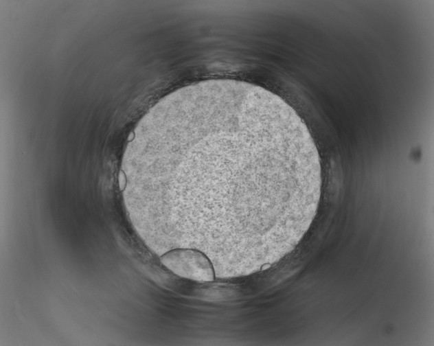 X0000115620463200912221232