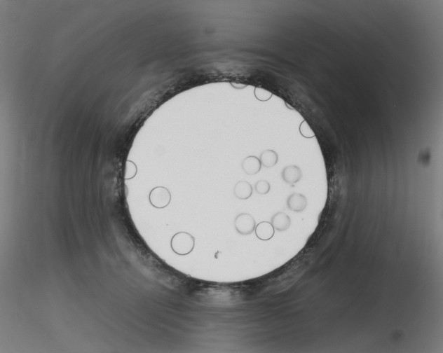 X0000115620464200912221232