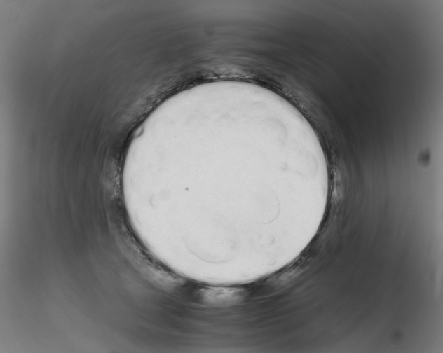 X0000115620465200912221232