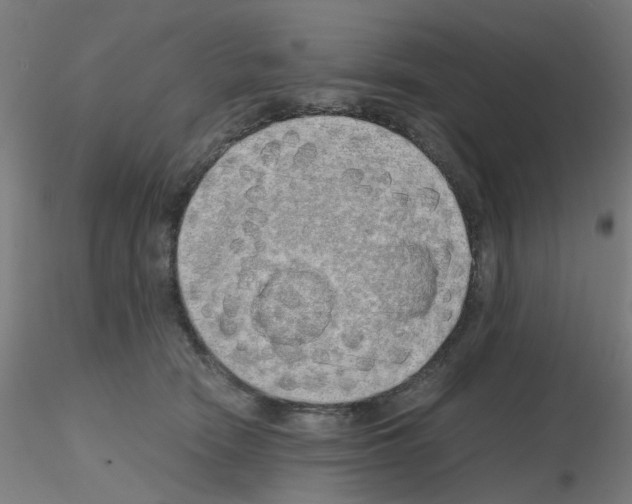 X0000115620466200912221232