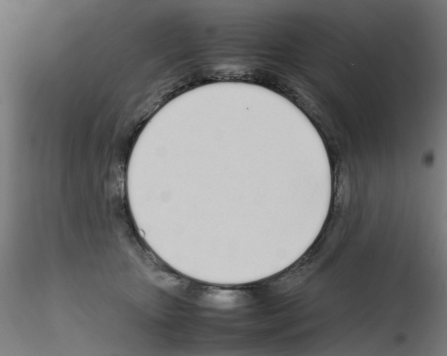 X0000115620467200912221232