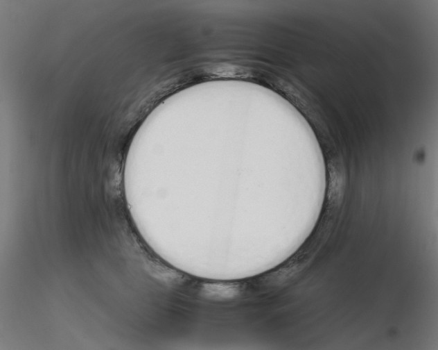 X0000115620469200912221232