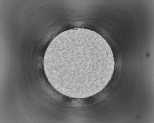 X0000115620470200912221232