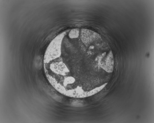 X0000115620471200912221232