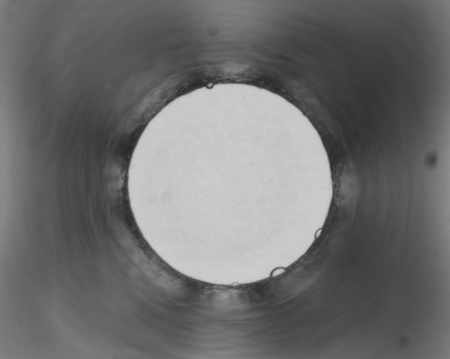 X0000115620472200912221232