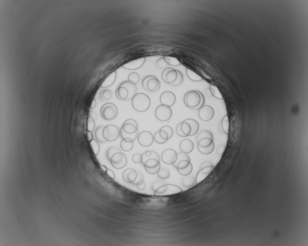 X0000115620474200912221232