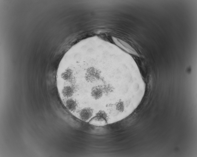 X0000115620475200912221232