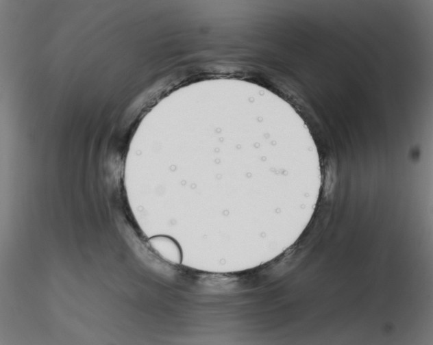 X0000115620476200912221232
